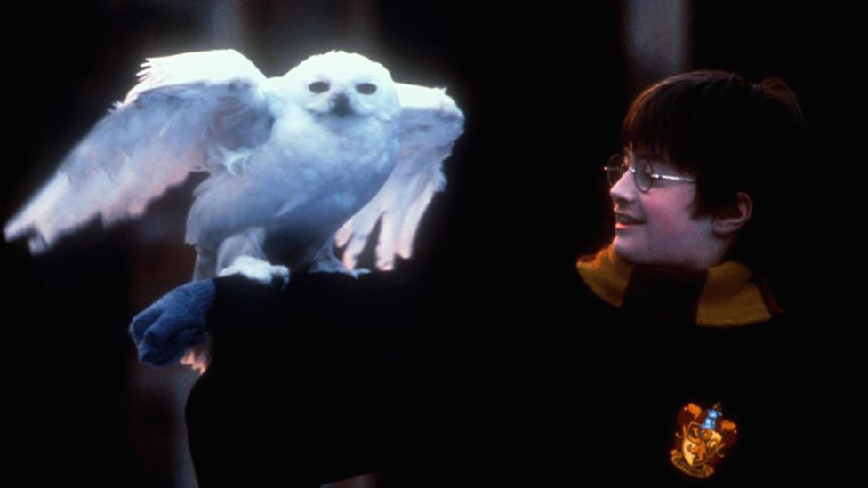 What is Harry Potter’s owl name